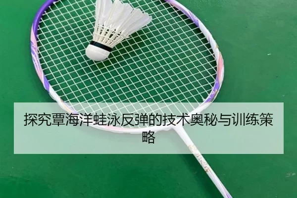 探究覃海洋蛙泳反弹的技术奥秘与训练策略